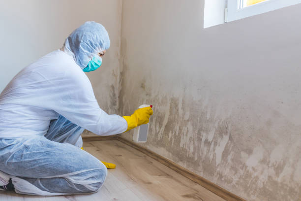 Licensed Commercial Mold Remediation service in Newaygo, MI - WQB Mold Removal