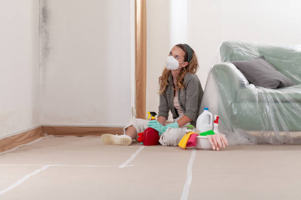 Reliable Commercial Mold Remediation contractor in Newaygo, MI by WQB Mold Removal